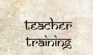Teacher Training Programmes Ananta Yoga and Ayurveda Wicklow